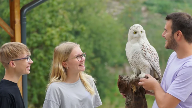 Junge Frau mit Brille hält einen Greifvogel auf der Hand und lächelt in die Natur – Evangelische Gesellschaft für Deutschland KdöR