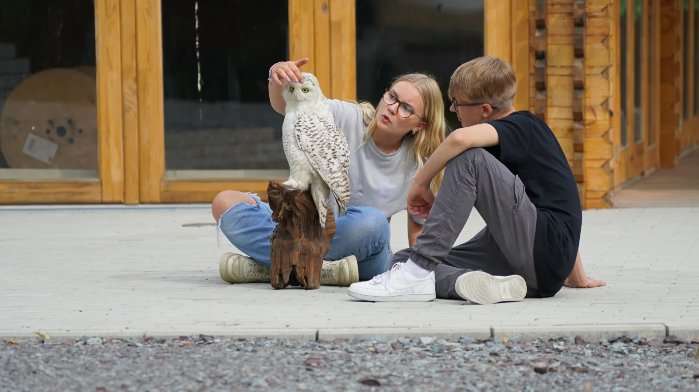 Zwei Personen sitzen am Boden und interagieren mit einem Greifvogel – Evangelische Gesellschaft für Deutschland KdöR